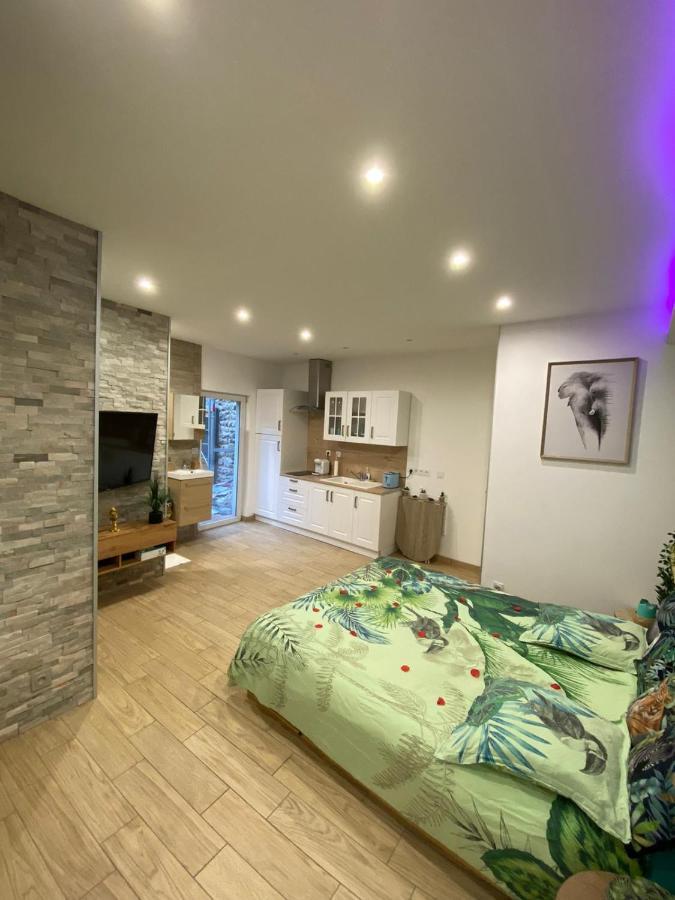 Le Menhir 2 Jacuzzi Spa Terasse Barbecue La Roche-Blanche  المظهر الخارجي الصورة