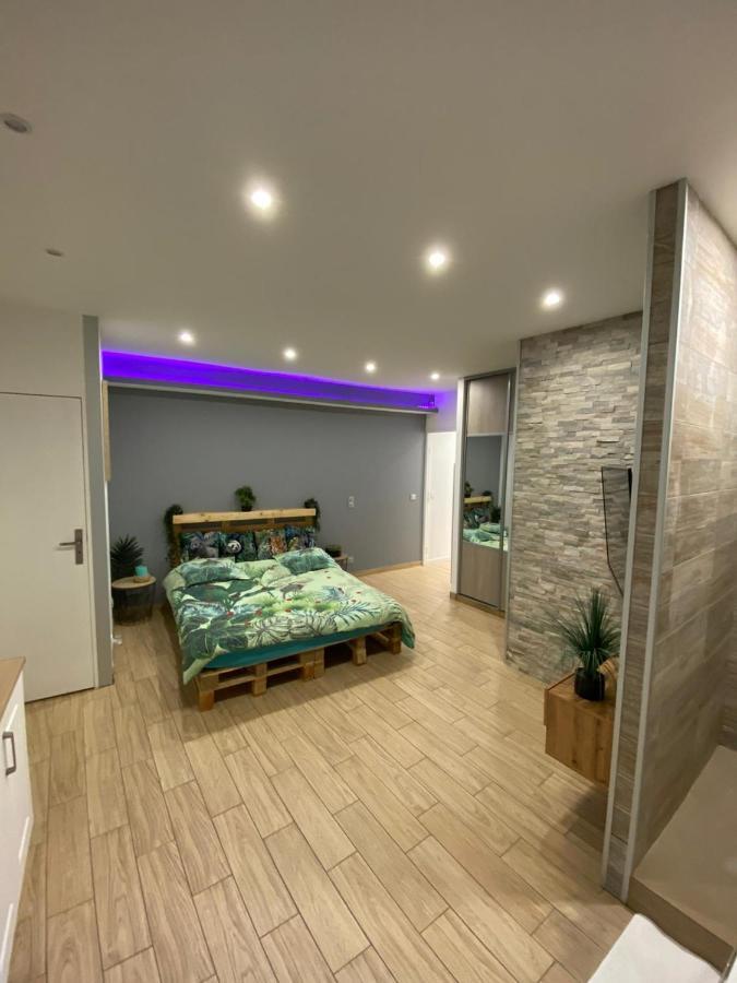 Le Menhir 2 Jacuzzi Spa Terasse Barbecue La Roche-Blanche  المظهر الخارجي الصورة
